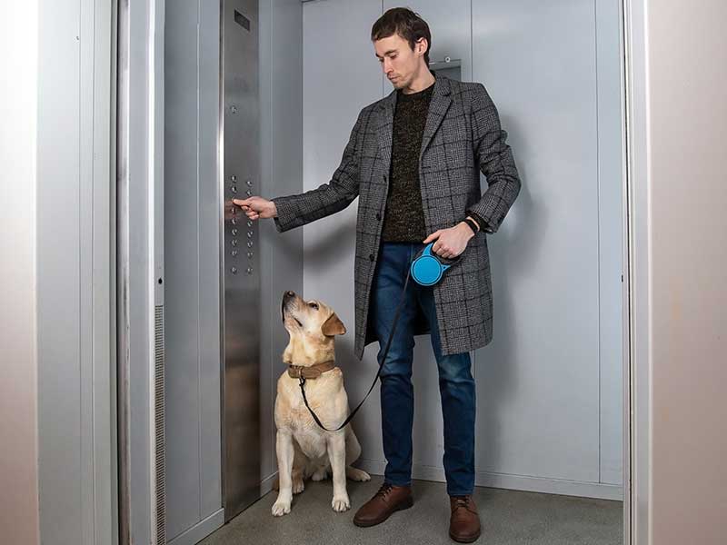 POR QUÉ DEBES SER MUY PRECAVIDO SI SUBES A UN ELEVADOR CON TU PERRO